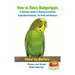 How to Raise Budgerigars - A Newbie's Guide to Raising Lovebirds - Australian Parakeets - for Profit and Pleasure