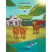The Adventures of Thunder and Lightning: Thunder and Lightning Go Fishing