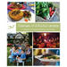 Flavours of A Rocha Canada: A Collection of Community Recipes and Stories
