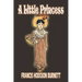 A Little Princess by Frances Hodgson Burnett, Juvenile Fiction, Classics, Family