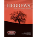 Hebrews Jesus: Our Perfect Sacrifice