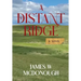 A Distant Ridge: A novel of the Northern Plains in the 1870s
