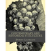 Contemporary and Historical Viticulture