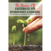 The Basics Of Greenhouse And Hydroponics Gardening: The Ultimate Beginner's Guide to Grow Vegetables, Fruits, Flowers and Herbs at Home: How To Build