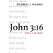 John 3:16: What's It All About?