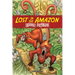 Lost in the Amazon Hidden Pictures