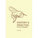 Anatomy and Dissection of the Honeybee