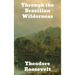 Through the Brazilian Wilderness