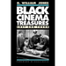 Black Cinema Treasures
