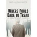 Where Fools Dare to Tread: A Monk Buttman Mystery