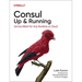 Consul: Up and Running: Service Mesh for Any Runtime or Cloud