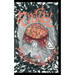 Finzel; a Psychotic Love Story