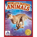 World's Fastest Animals