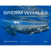 Sperm Whales: The Gentle Goliaths of the Ocean