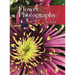 Flower Photography by Azza