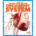 Circulatory System