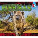 Hyenas