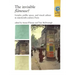 The Invisible Flâneuse?: Gender, Public Space and Visual Culture in Nineteenth Century Paris
