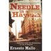 Needle in a Haystack