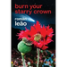 Burn Your Starry Crown