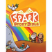 Spark Story Bible: Sunday School Edition