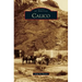 Calico