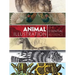 Animal Illustration: The Essential Reference