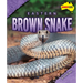 Eastern Brown Snake