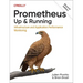 Prometheus: Up & Running: Infrastructure and Application Performance Monitoring