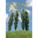 World Without End