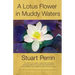 A Lotus Flower In Muddy Waters