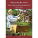 Why Not Top Bar Hives?