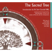Sacred Tree: Reflections on Native American Spirituality