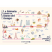 La Historia Contada Con Líneas del Tiempo / History Told with Timelines