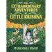 The Extraordinary Adventures of Little Krishna