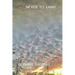 Never To Land