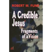 A Credible Jesus: Fragments of a Vision