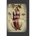Non Human Entities: An Artificial Intelligence Perspective