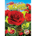 See a Rose Grow