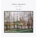 Elastic Signature: Notes on Painting
