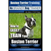 Boston Terrier Training Dog Training with the No BRAINER Dog TRAINER We Make it THAT Easy!: How to EASILY TRAIN Your Boston Terrier