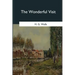 The Wonderful Visit