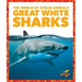 Great White Sharks