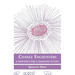 Chance Encounters: A Bioethics for a Damaged Planet