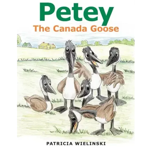 Petey: The Canada Goose