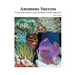 Success With Anemones: Doing what it takes to keep Anemones healthy long-term