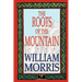 The Roots of the Mountain