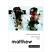 Matthew: Texts @ Contexts Series