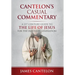 Cantelon's Casual Commentary: A 21st Century Guide to the Life of Jesus for the Internet Generation