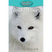 Arctic Foxes